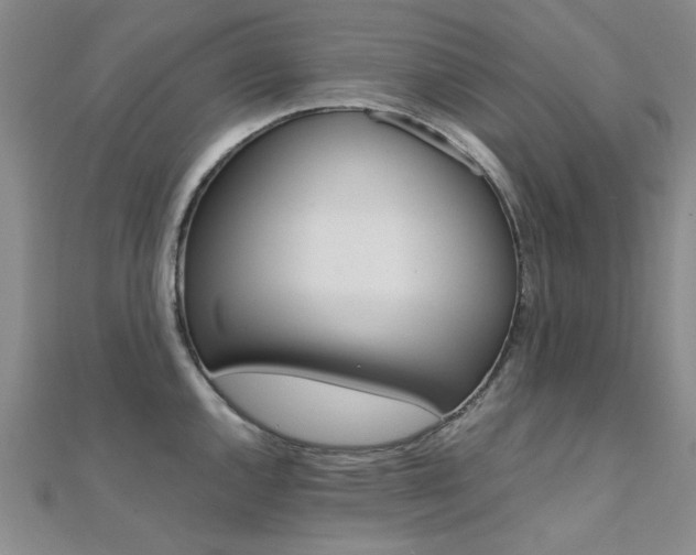 X0000112171144200908070954