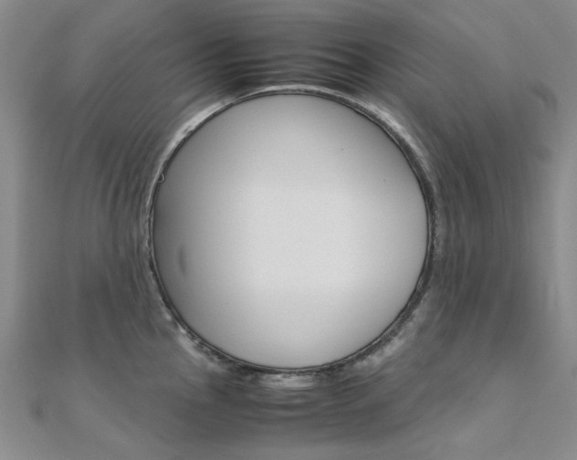 X0000112171145200908070954