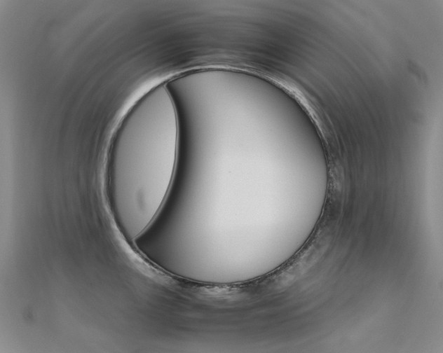 X0000112171147200908070954