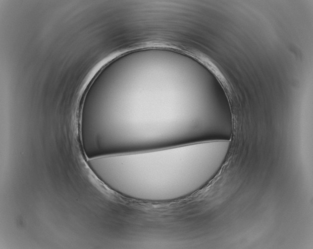 X0000112171148200908070954