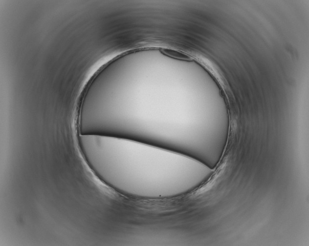 X0000112171149200908070954