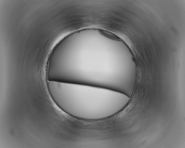 X0000112171151200908070954