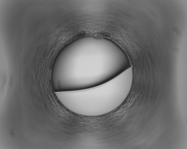 X0000112171153200908070954