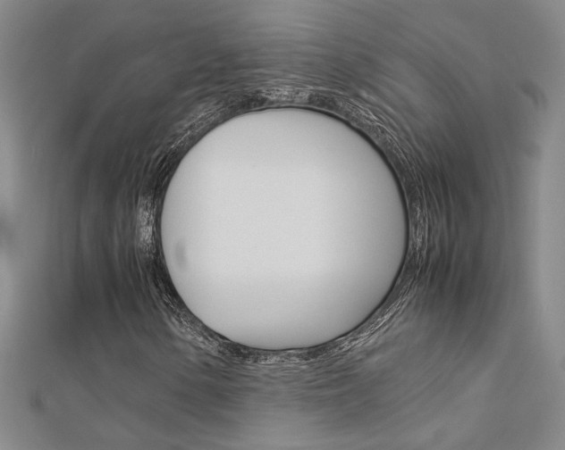 X0000112171154200908070954