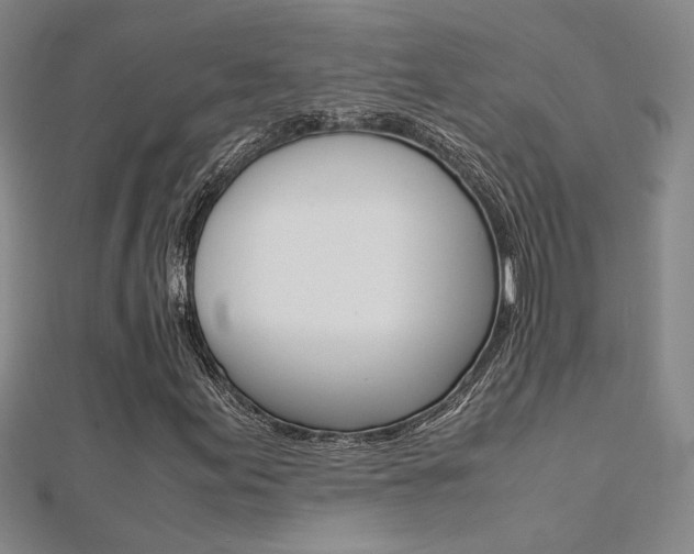 X0000112171155200908070954