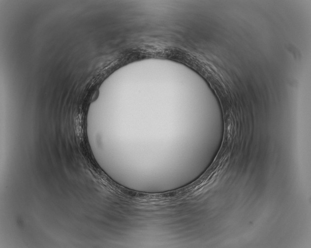 X0000112171156200908070953