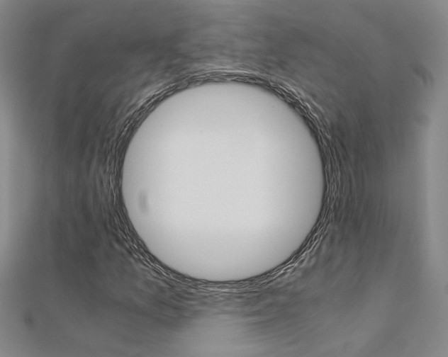 X0000112171157200908070953