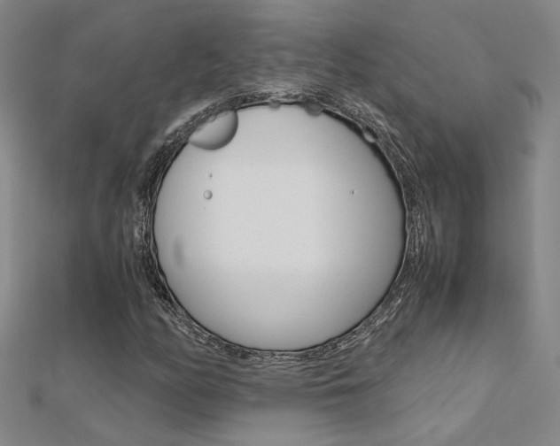 X0000112171158200908070953