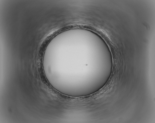 X0000112171159200908070953