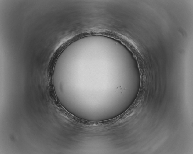 X0000112171160200908070953