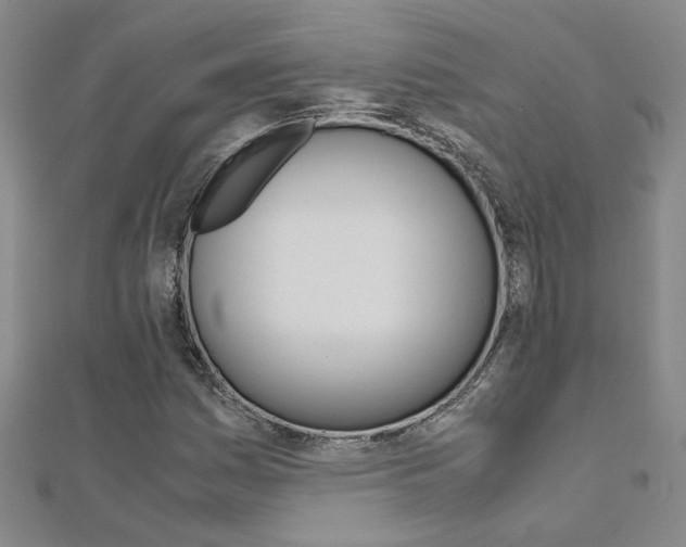 X0000112171161200908070953