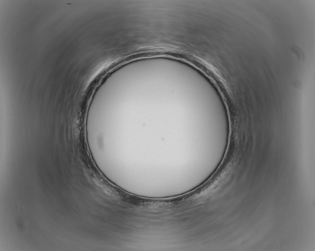 X0000112171163200908070953