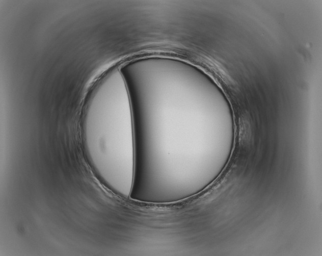 X0000112171164200908070953