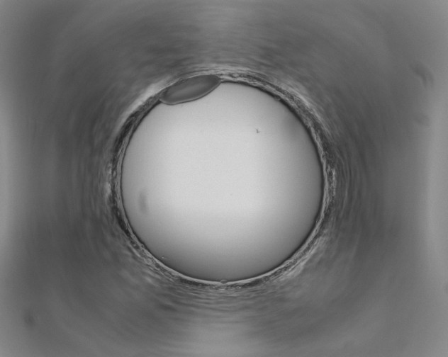 X0000112171165200908070953