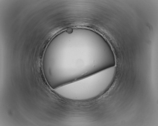 X0000112171169200908070953
