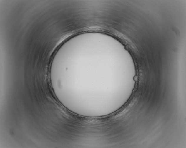 X0000112171170200908070953