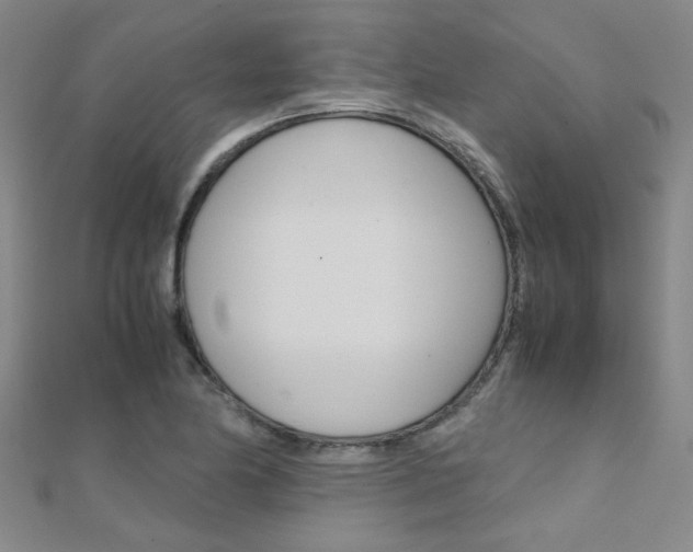 X0000112171174200908070953