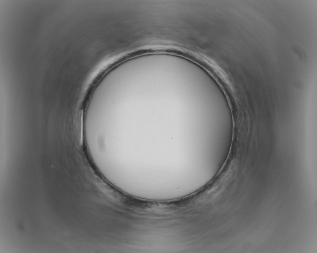 X0000112171175200908070953