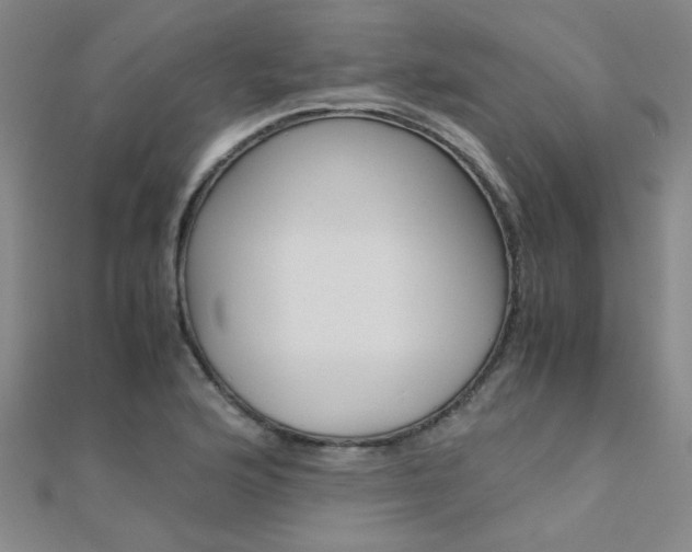 X0000112171176200908070953