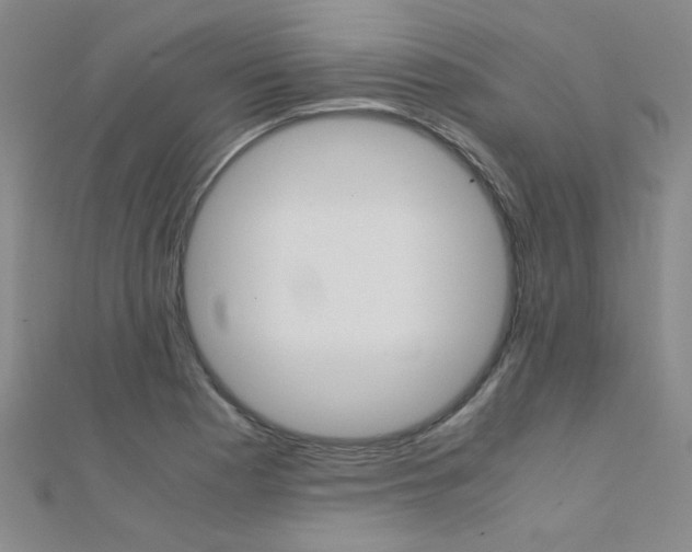 X0000112171177200908070953