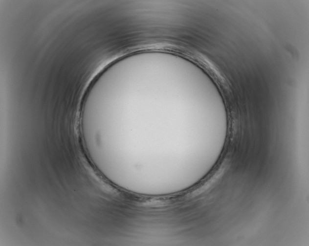 X0000112171178200908070953