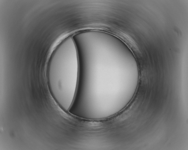 X0000112171180200908070953
