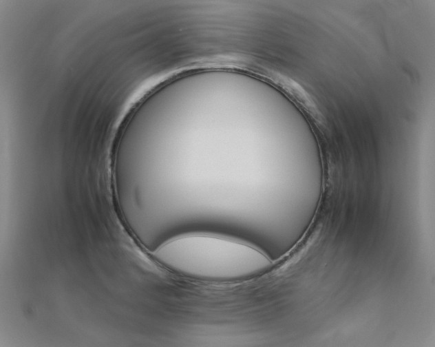 X0000112171184200908070953