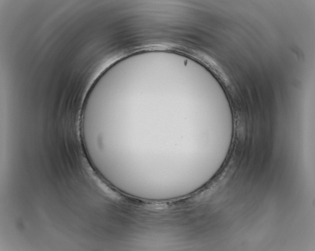 X0000112171186200908070953