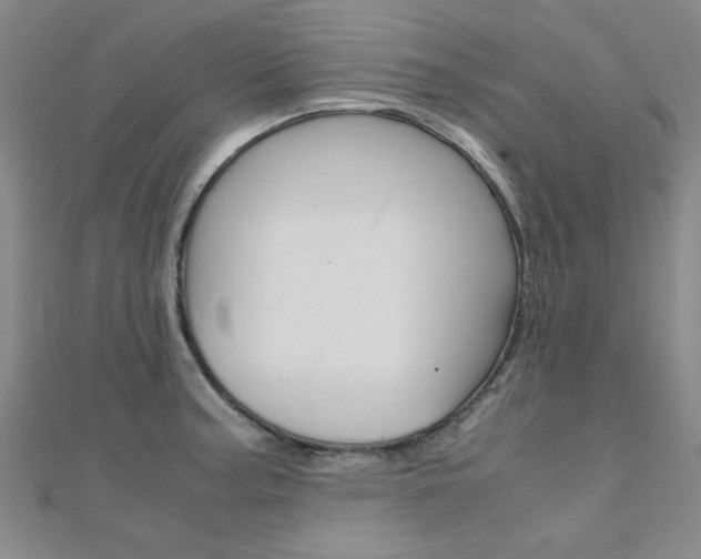 X0000112171187200908070953