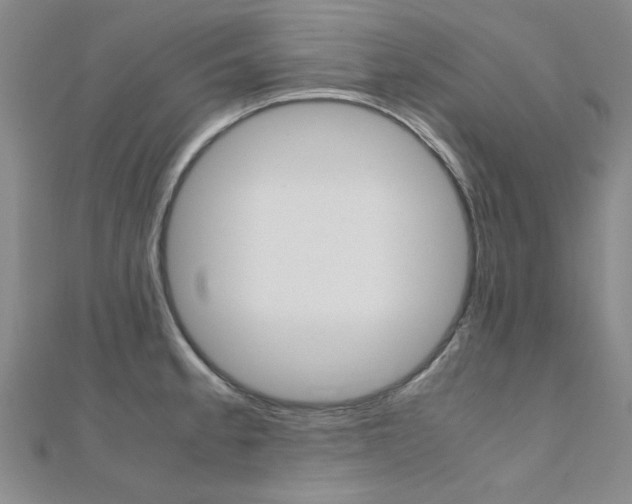 X0000112171189200908070953