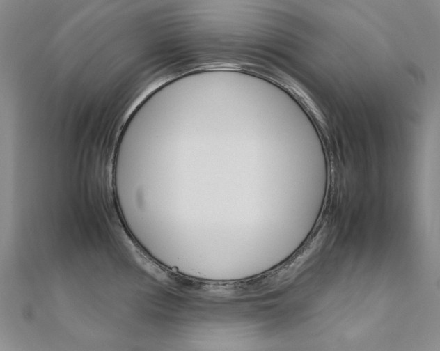 X0000112171194200908070953