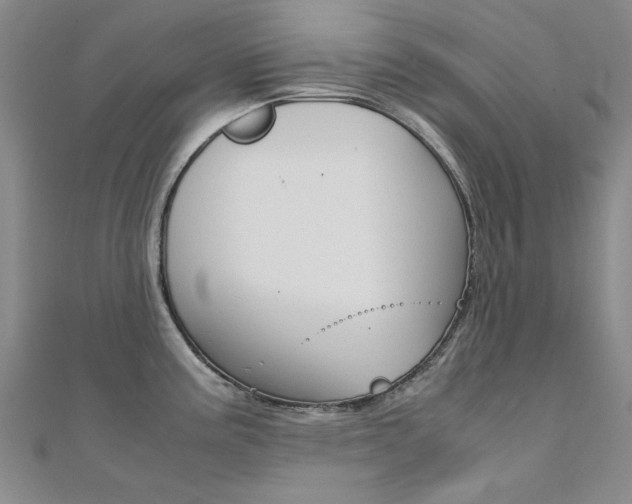 X0000112171195200908070953