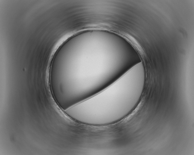 X0000112171196200908070953