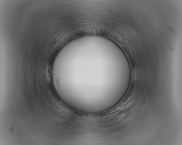 X0000112171202200908070952