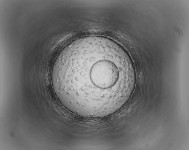 X0000112171205200908070952