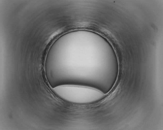 X0000112171210200908070952