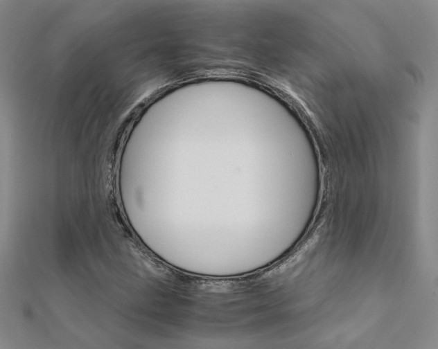 X0000112171211200908070952