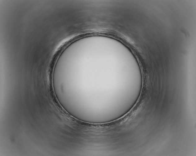 X0000112171214200908070952