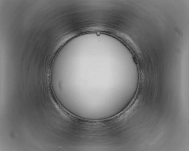 X0000112171225200908070952