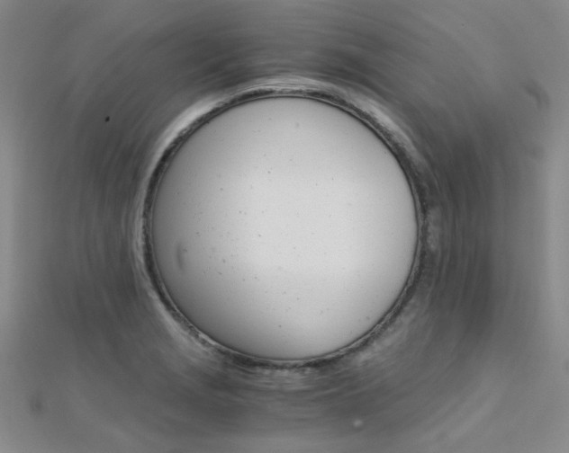 X0000112171229200908070952
