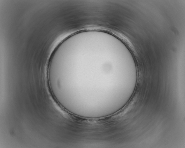 X0000112171231200908070952