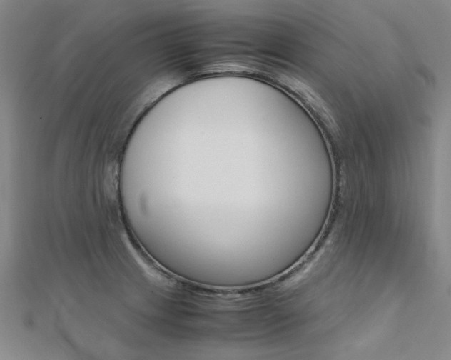 X0000112171233200908070952