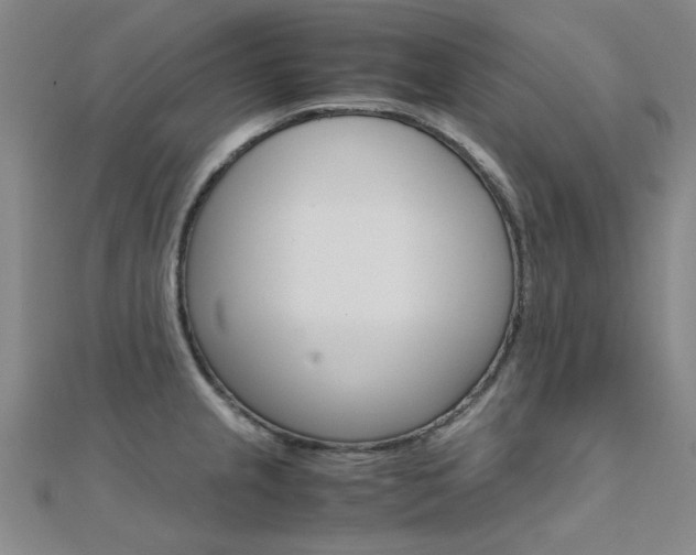 X0000112171237200908070953