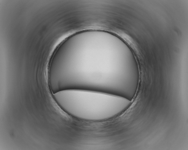 X0000112171238200908070953