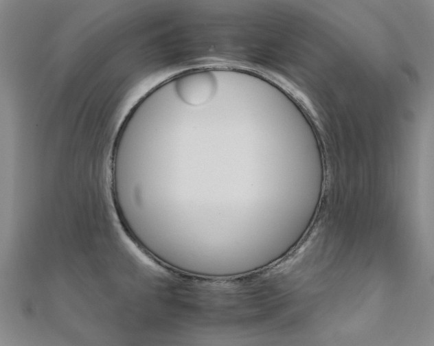 X0000112171239200908070953