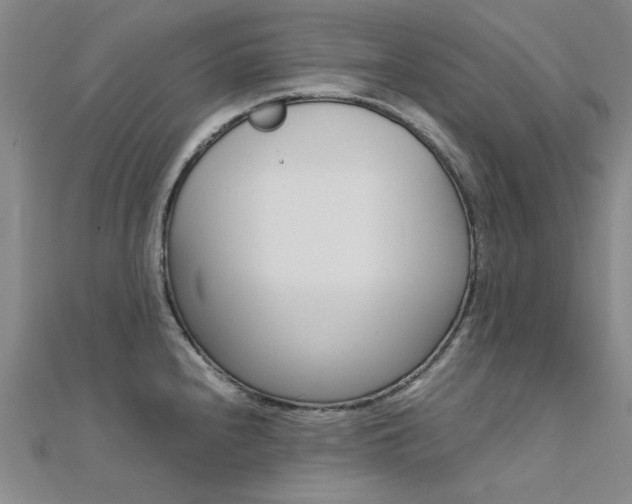 X0000112171240200908070953