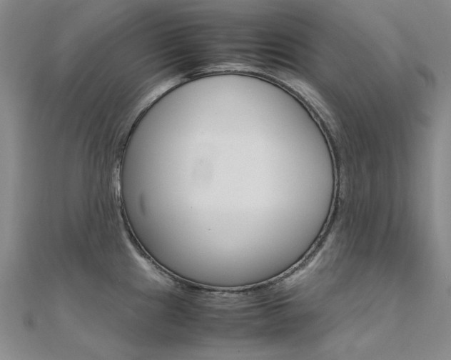 X0000112171241200908070953