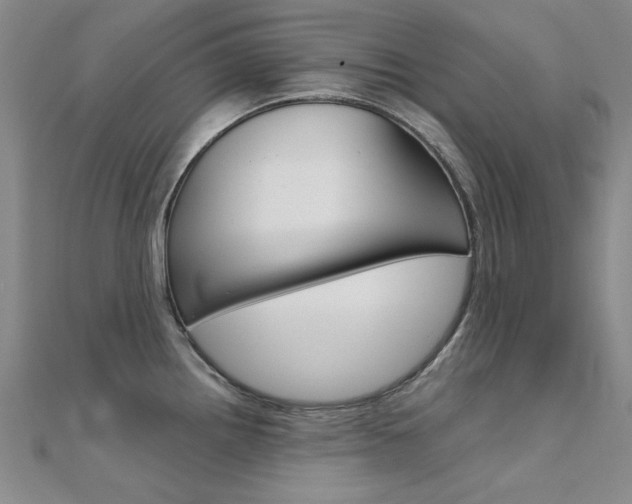 X0000112171242200908070953