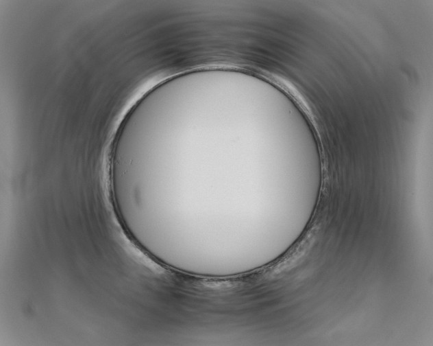X0000112171243200908070953