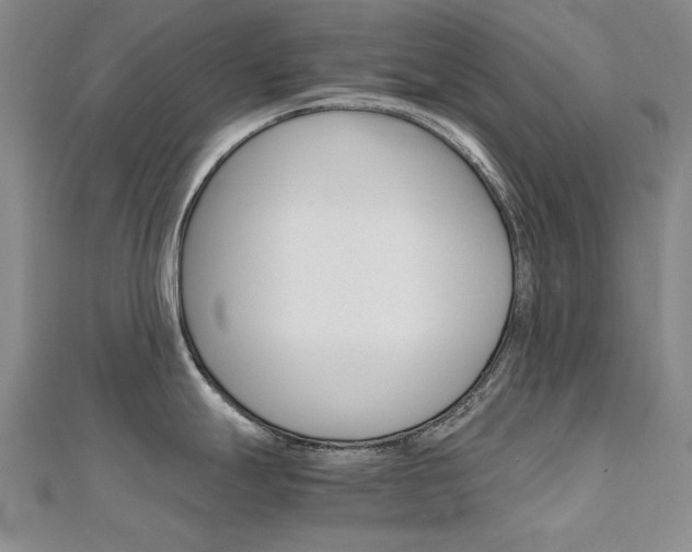 X0000112171247200908070953
